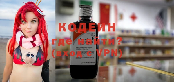 гашик Краснослободск