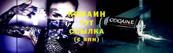 соль ск Костерёво