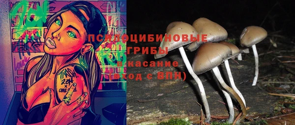 гашик Краснослободск
