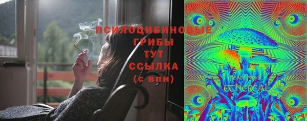 a pvp Коряжма