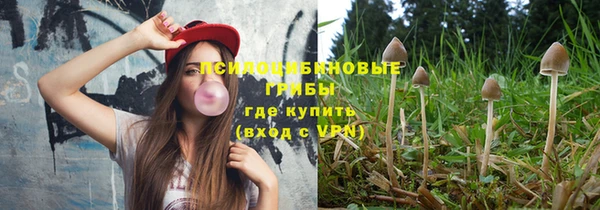 a pvp Коряжма