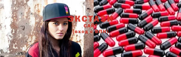 гашик Краснослободск