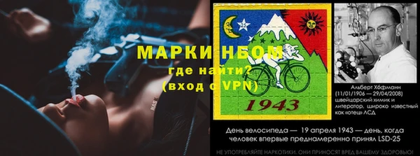 гашик Краснослободск